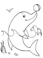 Delfin