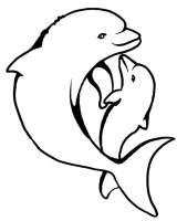 Delfin