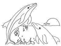 Delfin