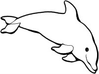 Delfin