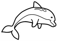 Delfin