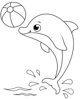 Delfin