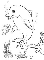 Delfin
