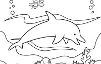 Delfin