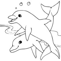 Delfin