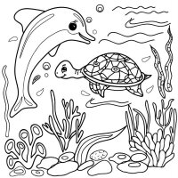 Delfin