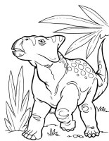 Dinozaur