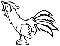 Cocosi