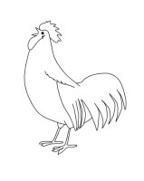 Cocosi