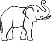 Elefant