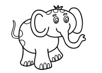 Elefant