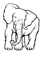Elefant