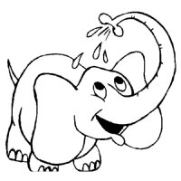 Elefant