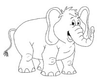Elefant