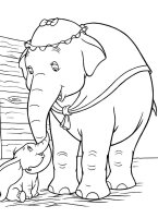 Elefant