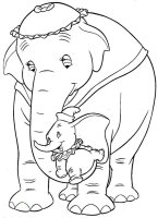 Elefant