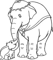 Elefant