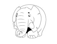 Elefant