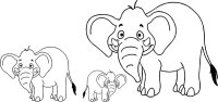Elefant
