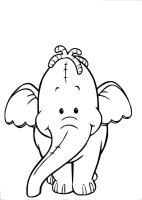 Elefant