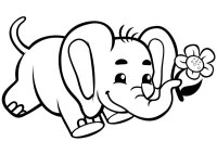 Elefant