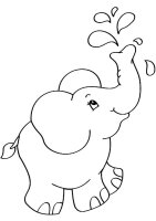 Elefant