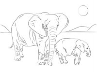 Elefant
