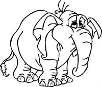 Elefant