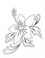 Floare Crin