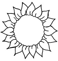 Floarea soarelui