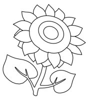 Floarea soarelui