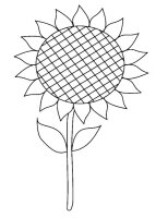 Floarea soarelui