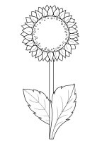 Floarea soarelui
