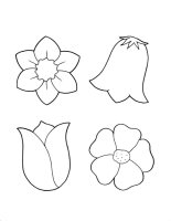 Flori clopotei