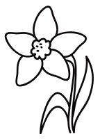 Flori clopotei