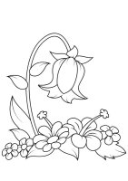 Flori clopotei