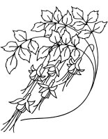 Flori clopotei