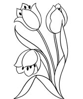 Flori clopotei