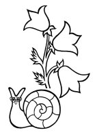 Flori clopotei