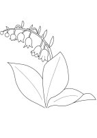 Flori clopotei