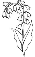 Flori clopotei