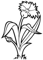Flori clopotei