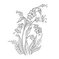 Flori clopotei