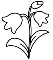 Flori clopotei