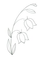 Flori clopotei