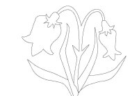 Flori clopotei