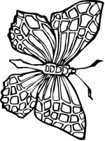Fluture