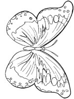 Fluture