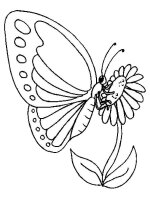 Fluture
