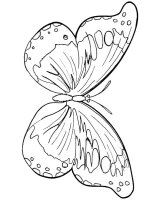 Fluture